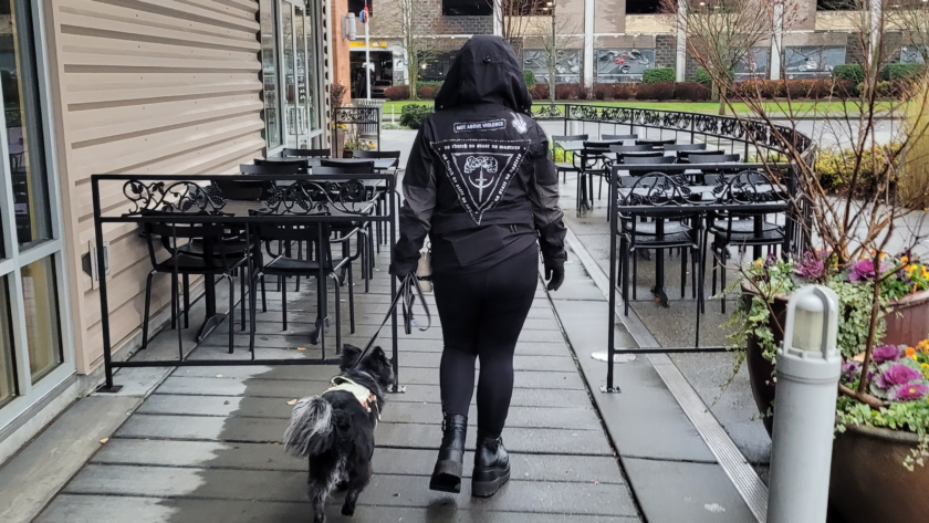 best dog trainer kent wa
