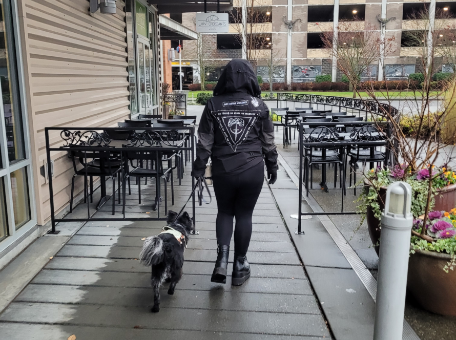 best dog trainer kent wa