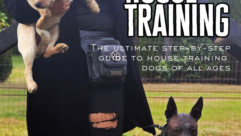 black magic dog training house training dog potty training book how to guide