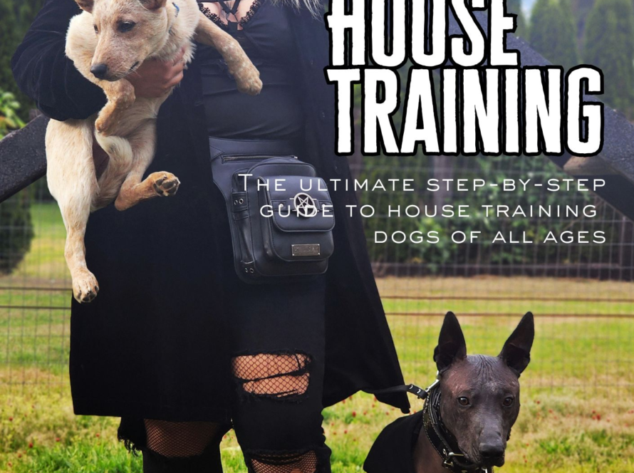 black magic dog training house training dog potty training book how to guide