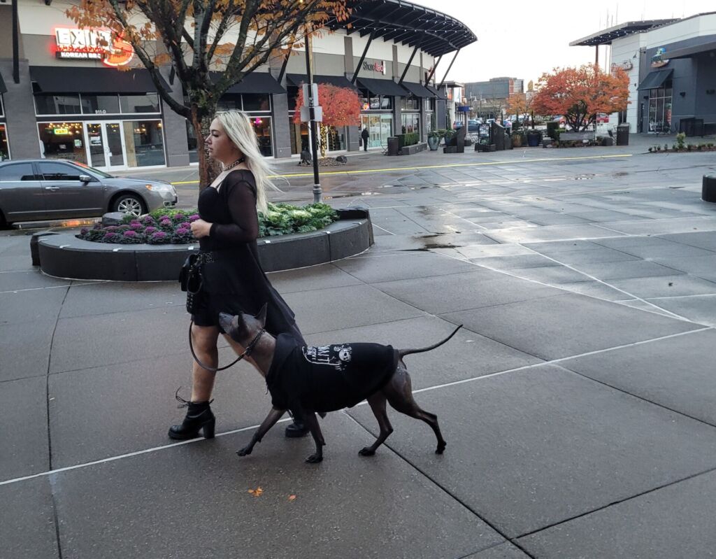 goth girl dog trainer walking xolo in seattle renton kent WA