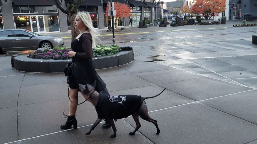 goth girl dog trainer walking xolo in seattle renton kent WA