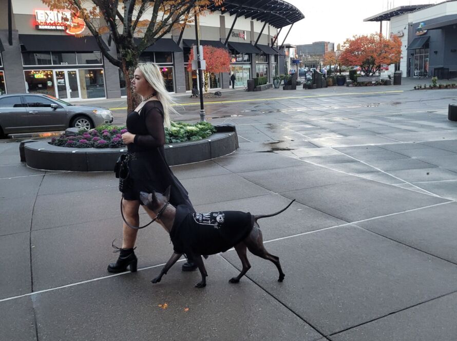 goth girl dog trainer walking xolo in seattle renton kent WA