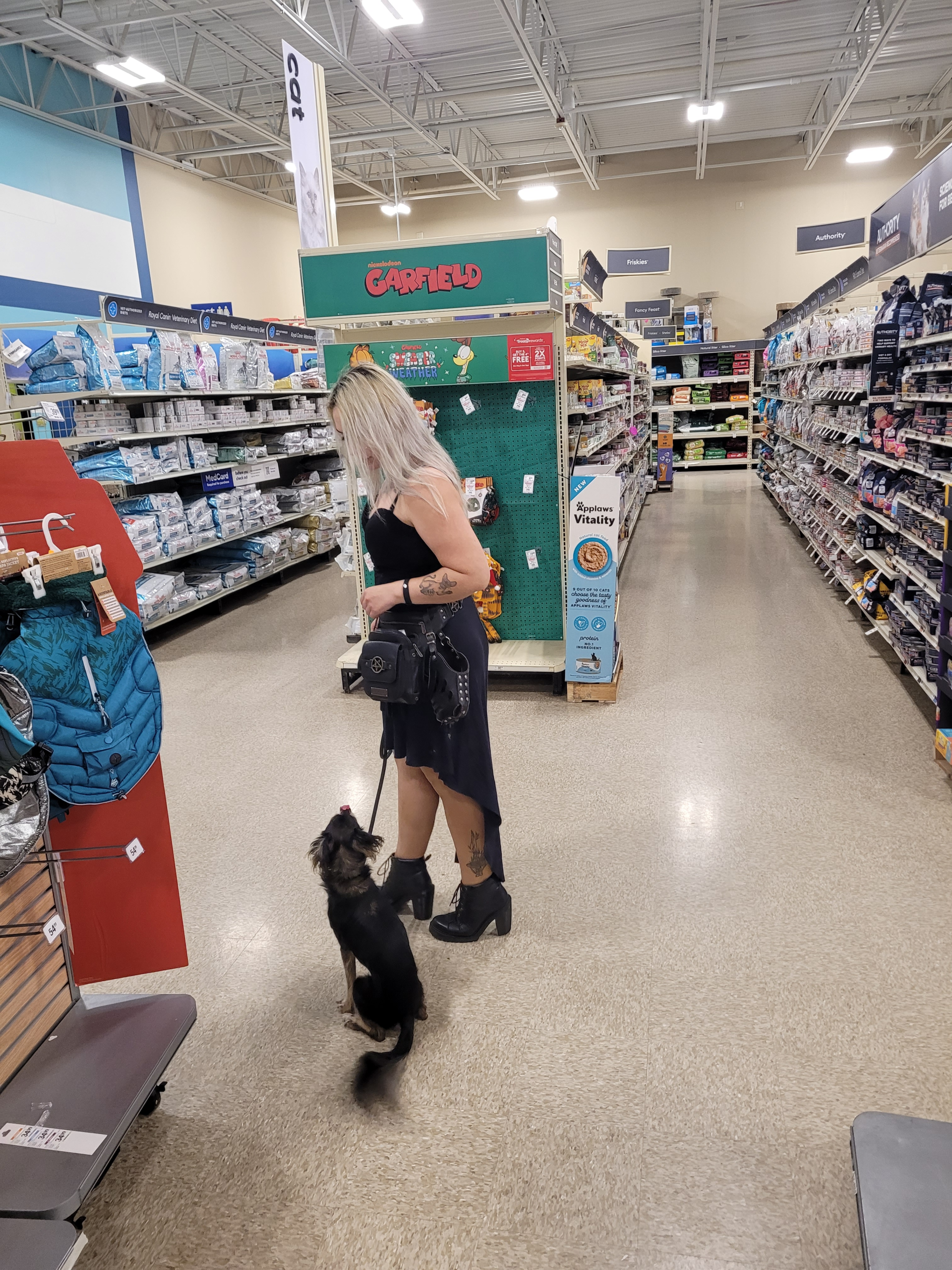 Service Dog Training