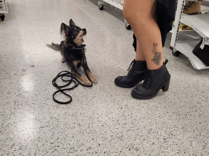 cgc testing seattle kent tacoma washington