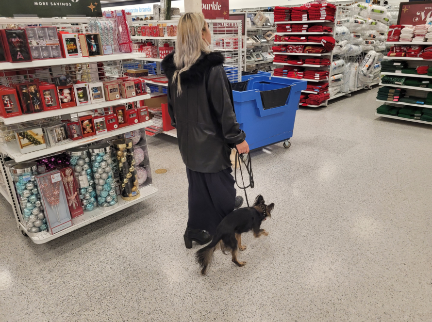 service dog in a pet store seattle renton kent washington