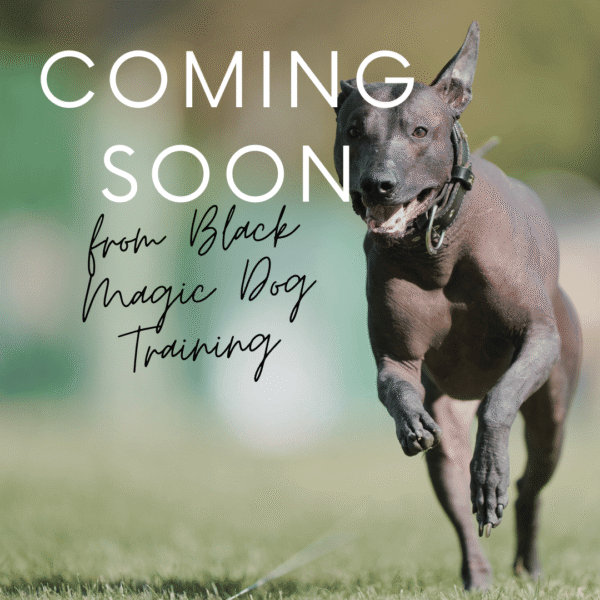 dog training books