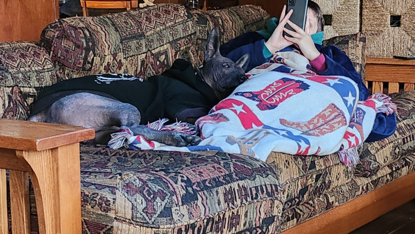 hairless xolo cuddling on the couch