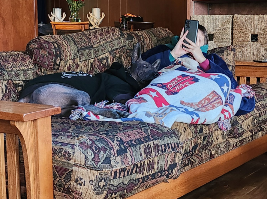 hairless xolo cuddling on the couch