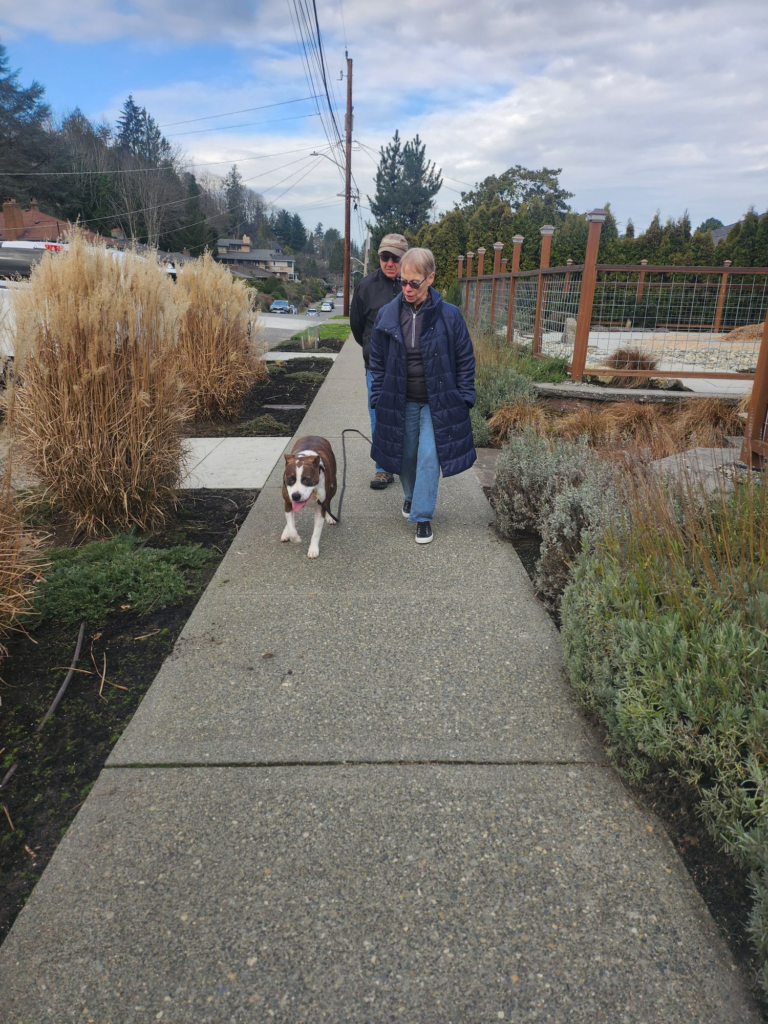 dog training kent wa