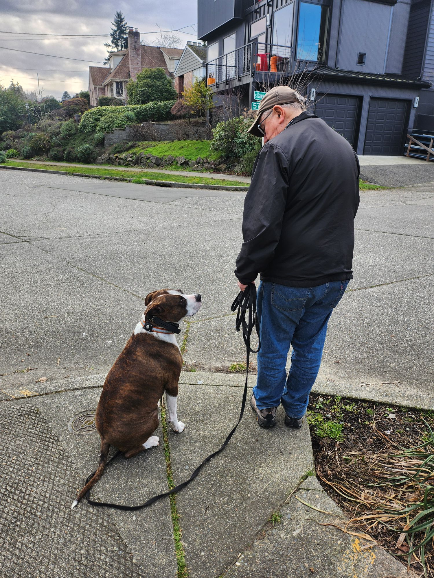 service dog training online seattle maple valley covington wa