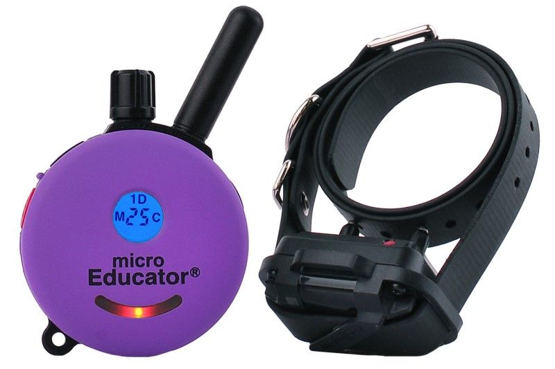 micro educator ecollar technologies for sale