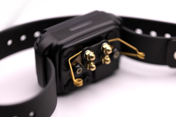 winged comfort pads for ecollar tech remote collars