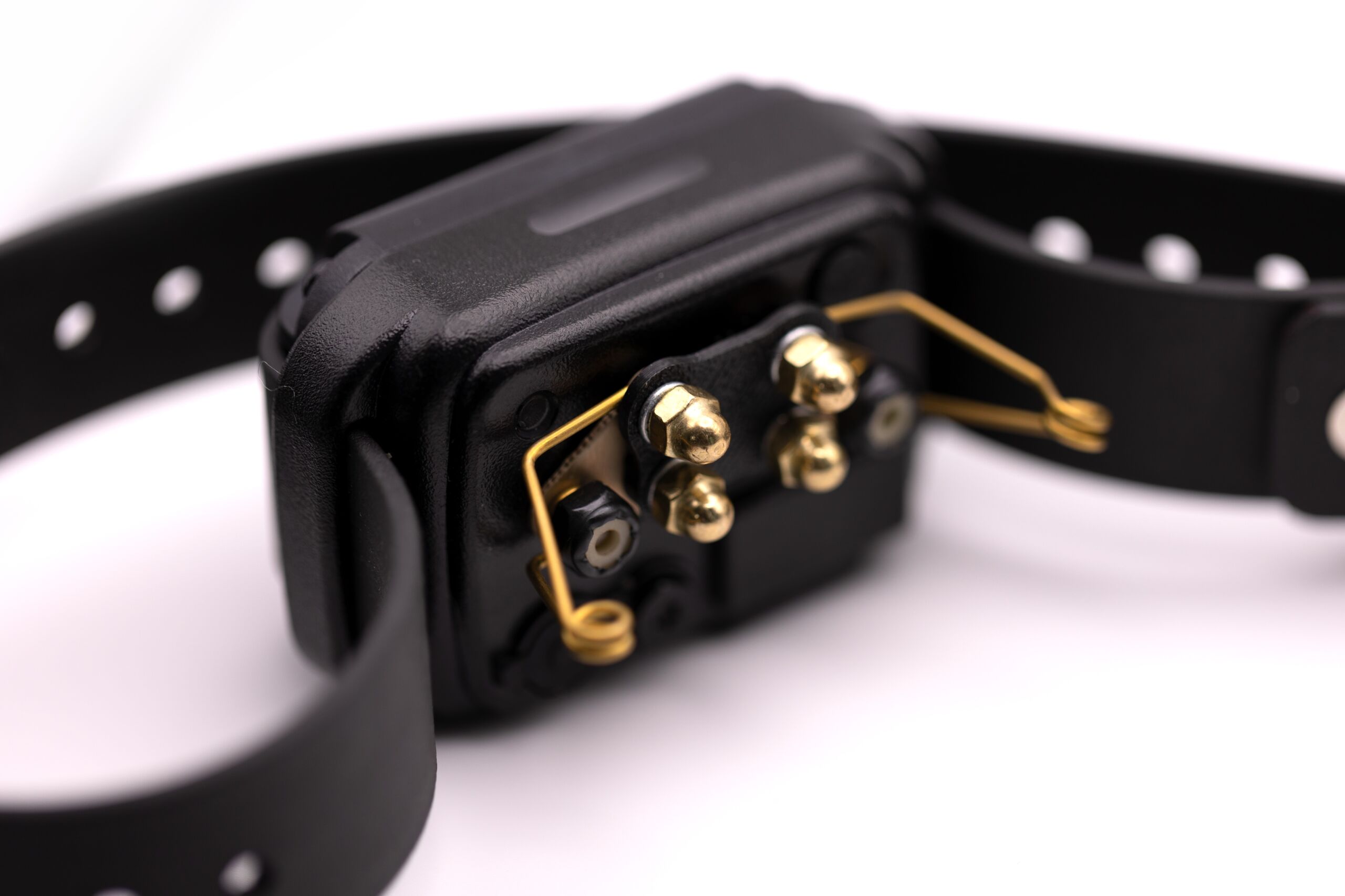 winged comfort pads for ecollar tech remote collars