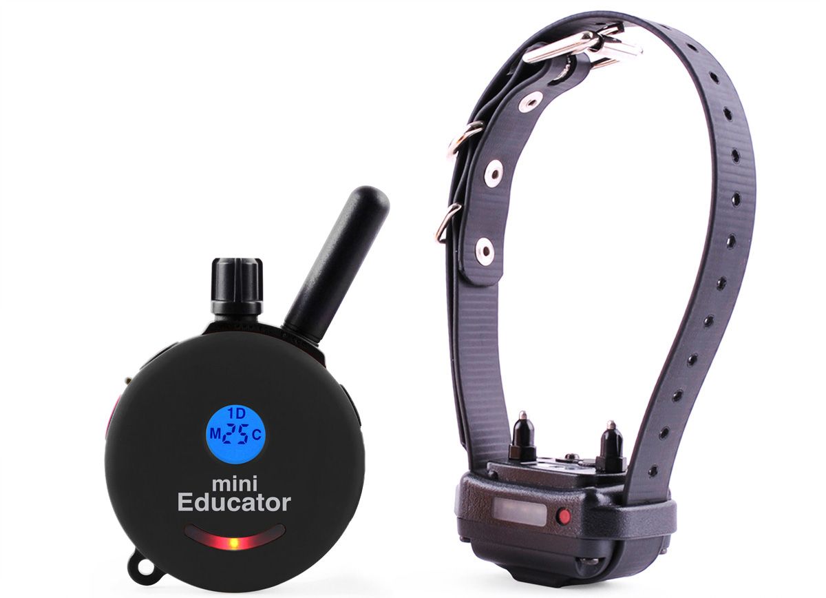 mini educator ecollar technologies for sale