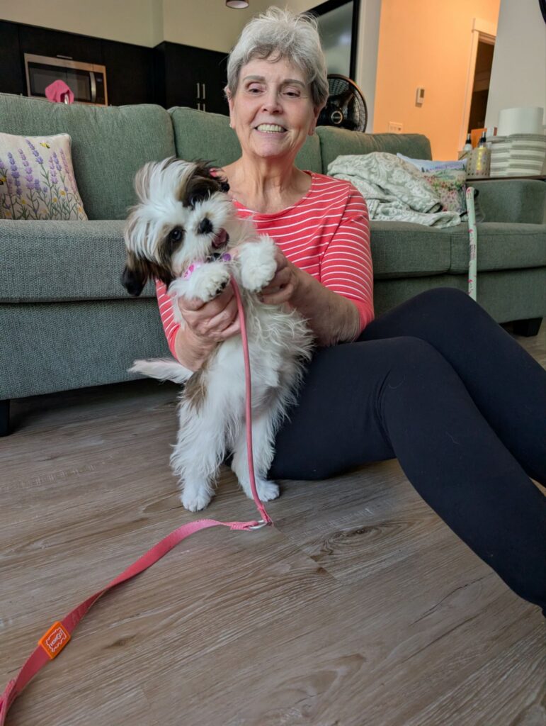 dog training maple valley
